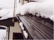 �d�X�g�[�u�ʐ^