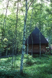 �d�X�g�[�u�ʐ^