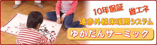 �d�X�g�[�u�ʐ^