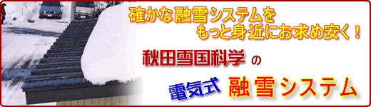 �d�X�g�[�u�ʐ^