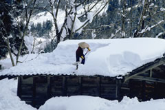 �d�X�g�[�u�ʐ^